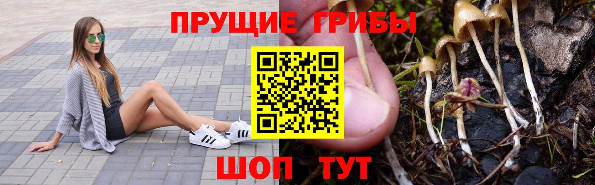Сланцы  Галлюциногенные грибы мицелий  Вход с VPN 